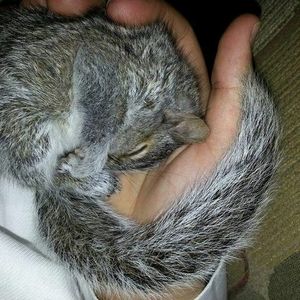 Meet your Posher, Jim